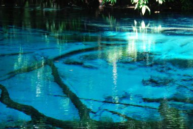 Yakın çekim zümrüt kuyu suyu Göleti orman Tayland at.