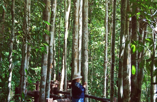 ウォーキング タイで緑の森の美しいアジア女性 — ストック写真