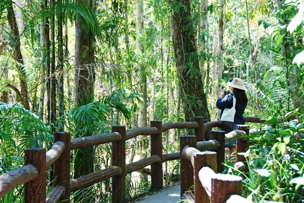 Mulher Ásia Bonita Andando Viajando Floresta Verde Tailândia — Fotografia de Stock