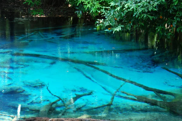 Primer Plano Estanque Agua Del Pozo Emerald Bosque Tailandia —  Fotos de Stock