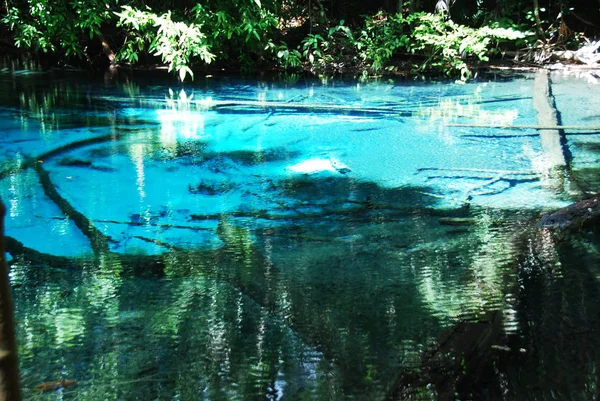 Primo Piano Stagno Acqua Pozzo Emerald Nella Foresta Thailandia — Foto Stock