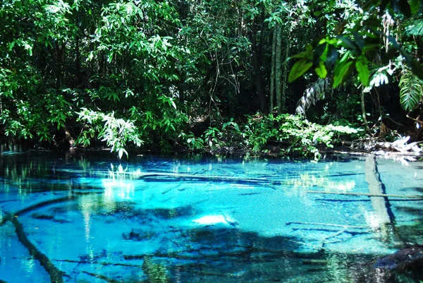 Close-up Emerald well water pond in the forest at Thailand.