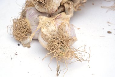 Beyaz arka plan üzerinde üstten görünüm izole sarımsak