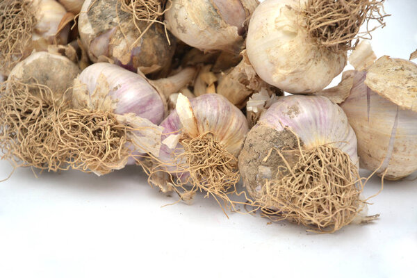 garlic isolated on white background, top view