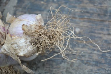 Beyaz arka plan üzerinde üstten görünüm izole sarımsak
