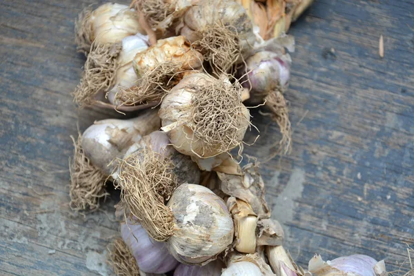 Garlic Isolated White Background Top View — Stock Photo, Image