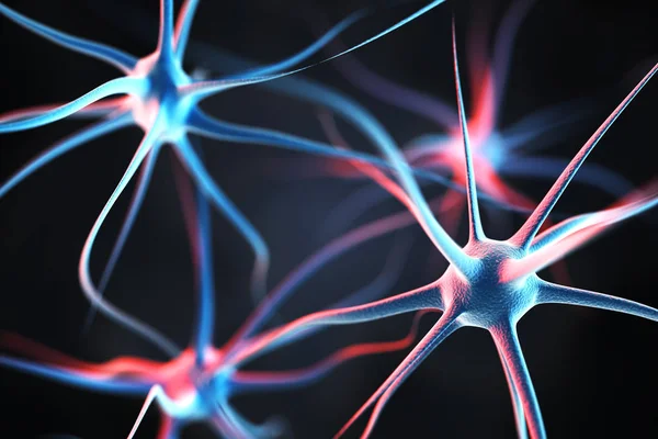 Νευρώνες στον εγκέφαλο — Φωτογραφία Αρχείου