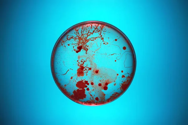 Βακτήρια που αναπτύσσονται σε τρυβλίο Petri — Φωτογραφία Αρχείου