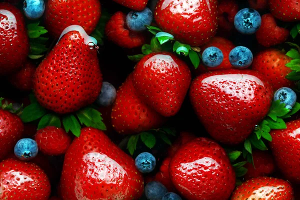 Bowl of fresh strawberries, raspberries, and blueberries — Stock Photo, Image