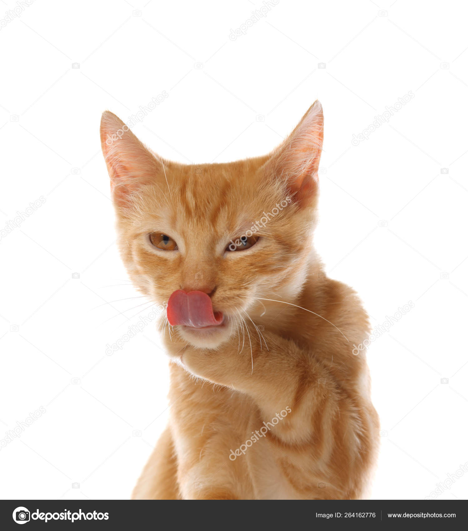 Cute little orange tabby kitten, isolated on white background — Stock