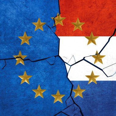 Avrupa Birliği ve Hollanda bayrakları parçalanıyor