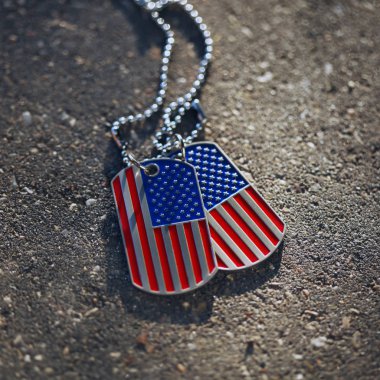 Amerikan bayrağının künyesi