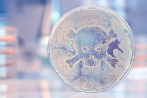 Bacinella di Petri batteri in crescita a forma di teschio e crossbon — Foto Stock