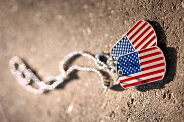 Amerikan bayrağının künyesi