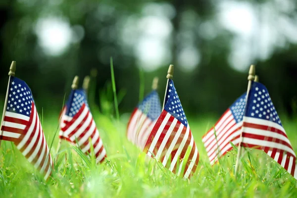 Grupo de banderas americanas en hierba verde —  Fotos de Stock