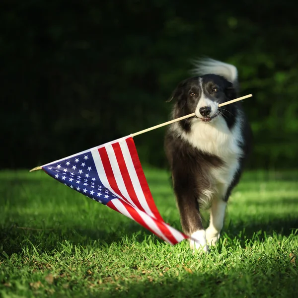 Šťastné ohraničení nesoucí vlajku USA — Stock fotografie