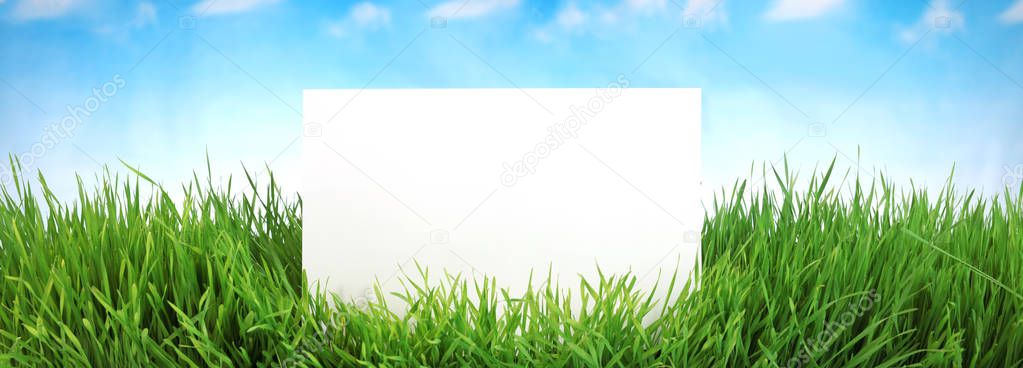 Green grass against blue sky with blank white space