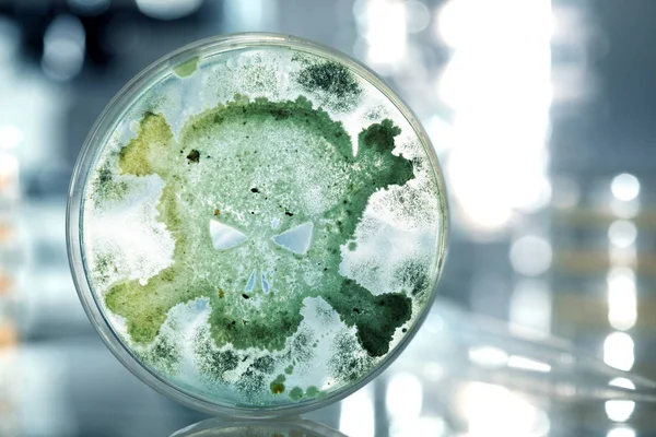 Petri dish growing bacteria in the shape of a skull and crossbon — Stock Photo, Image