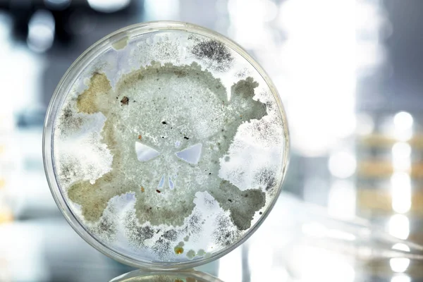 Petrischale, in der Bakterien in Form eines Schädels und Kreuzbeins wachsen — Stockfoto