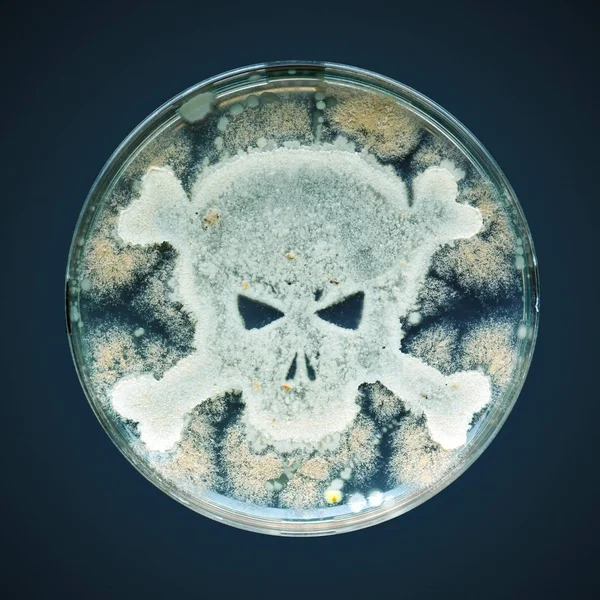 Petri dish growing bacteria in the shape of a skull and crossbon