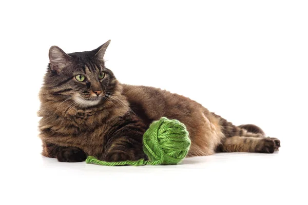 Большая коричневая кошка Майн Кун, играющая с зеленой пряжей, изолирована на wh — стоковое фото