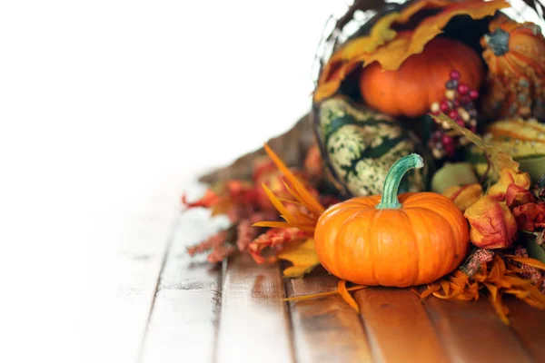 Tökfélék, tök és levelek őszi cornucopia háttérben — Stock Fotó