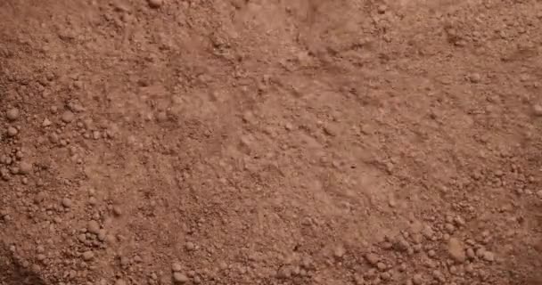恐竜の化石を発掘するために吹き飛ばされた汚れ — ストック動画