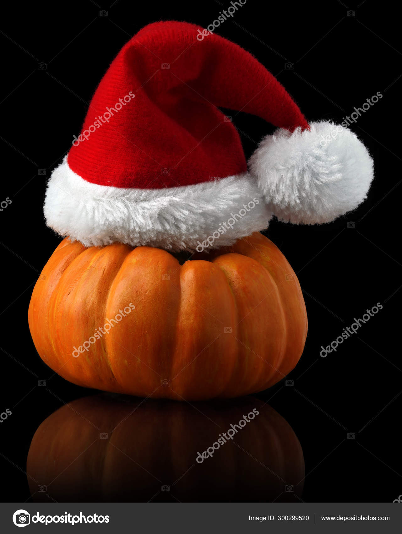 Orange 2024 santa hat