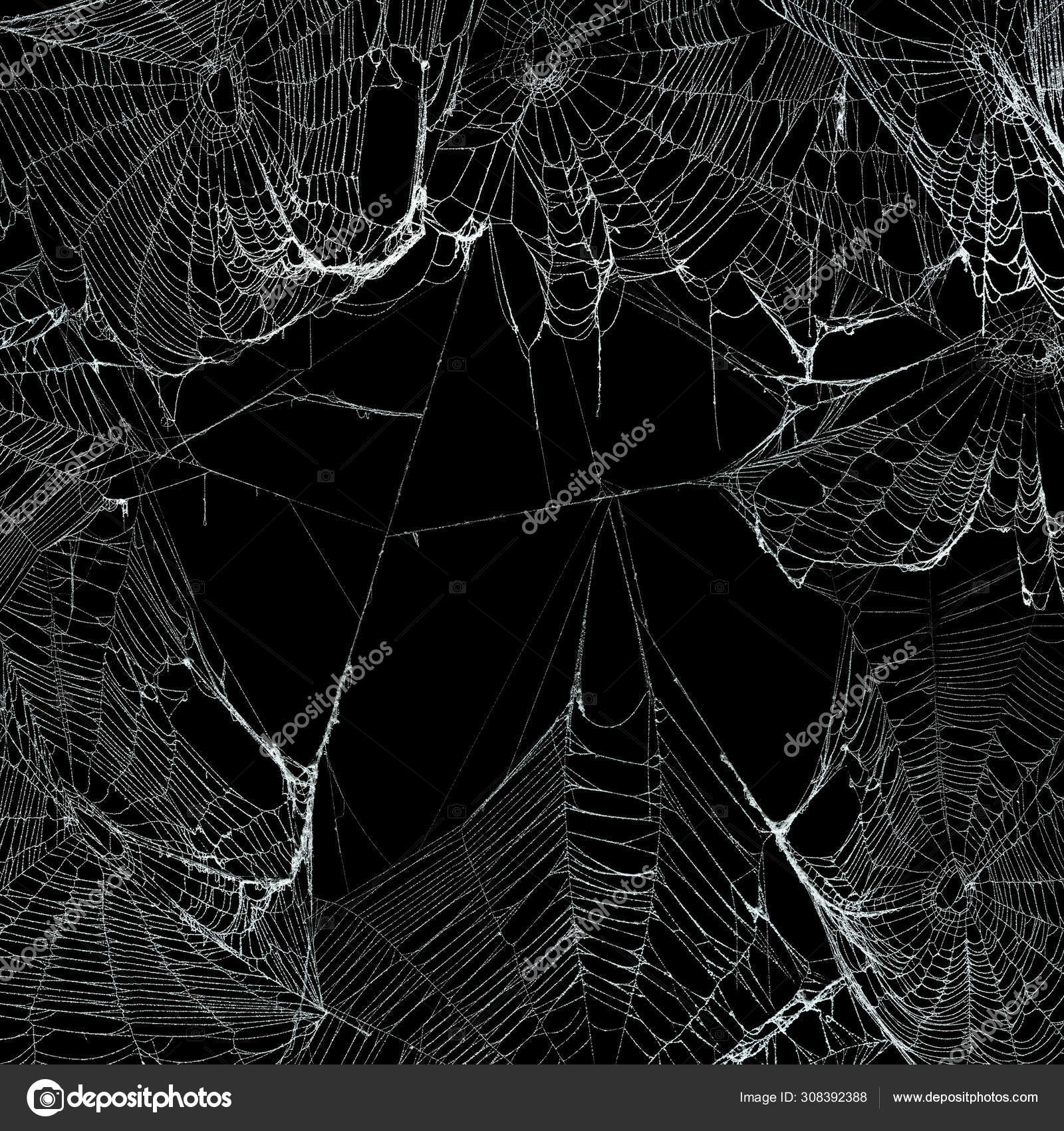 Real spooky spider webs hanging together to make a frame. Hallow Stock