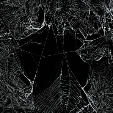 Real spooky spider webs hanging together to make a frame. Hallow clipart