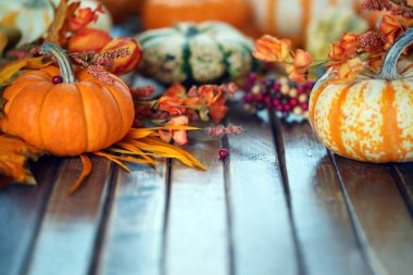 Sonbahar balkabağı arkaplanı