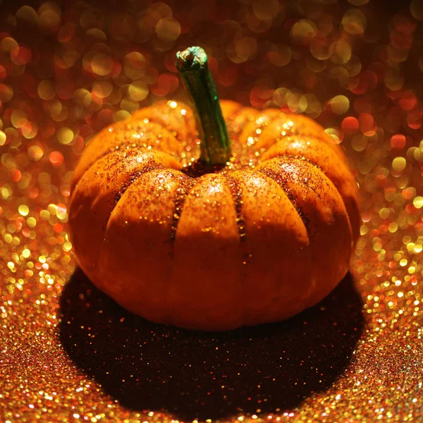 Calabaza única sobre fondo naranja brillante — Foto de Stock