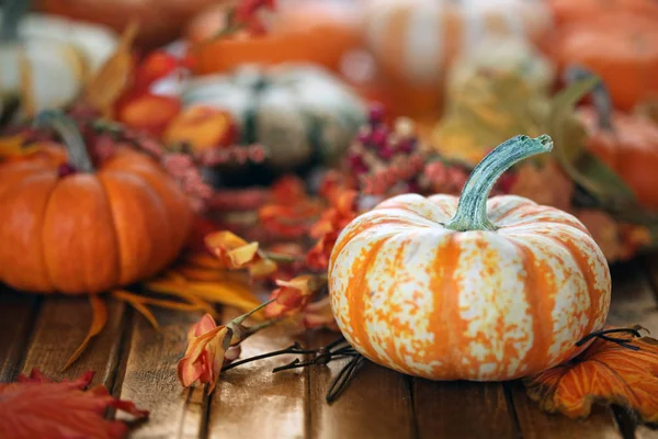 Autumn pumpkin decorations background — Stock Photo, Image