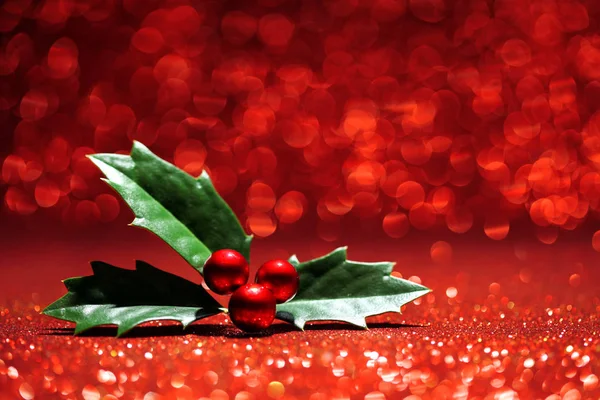 Sprig of holly red glitter background — Stock Photo, Image