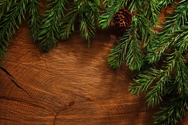 Evergreen árvore no fundo de madeira log — Fotografia de Stock