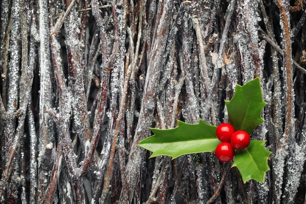 Christmas holly on pile of branches covered in frost — Stock Photo, Image