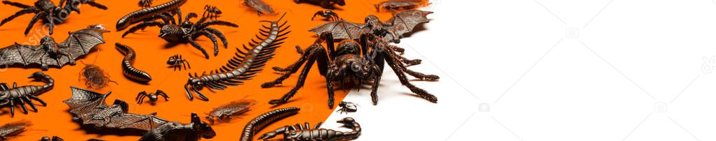 Black Halloween creepy crawly bugs and spiders on orange backgro