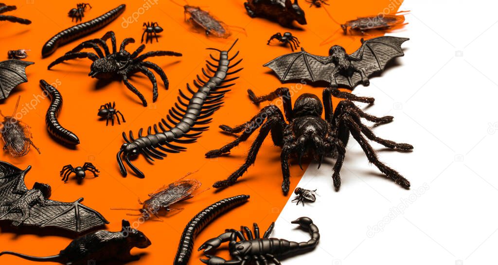 Black Halloween creepy crawly bugs and spiders on orange backgro