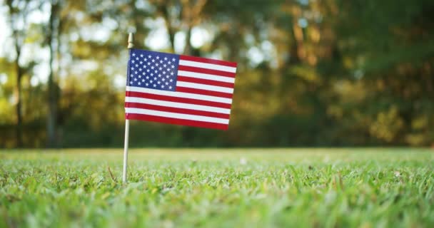 Single Small American Usa Flag Waving Wind Grass — Stock Video