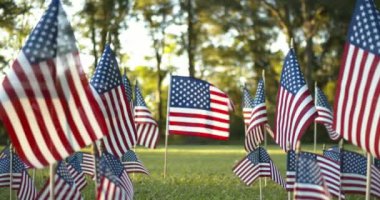 Güneş ışığı altında, yavaşça dalgalanan Amerikan bayrakları rüzgarda dalgalanan bir ABD bayrağına odaklanıyor. ABD bayramları için vatanseverlik kavramı, 4 Temmuz, Anma Günü veya Gaziler Günü.