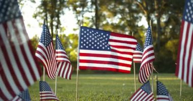 Dışarıda güneş ışığı altında dalgalanan Amerikan bayrakları ve rüzgarda dalgalanan tek bir Amerikan bayrağı. ABD bayramları için vatanseverlik kavramı, 4 Temmuz, Anma Günü veya Gaziler Günü.