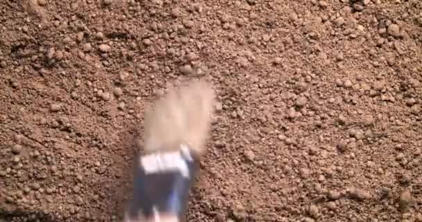 서쪽을 가리키는 화살이 나침반을 발견하다 — 비디오