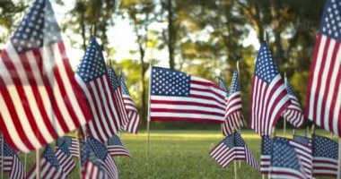 Güneş ışığı altında, yavaşça dalgalanan Amerikan bayrakları rüzgarda dalgalanan bir ABD bayrağına odaklanıyor. ABD bayramları için vatanseverlik kavramı, 4 Temmuz, Anma Günü veya Gaziler Günü.