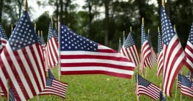 Sıralar halinde dalgalanan Amerikan bayrakları ve rüzgarda dalgalanan tek bir Amerikan bayrağı. ABD bayramları için vatanseverlik kavramı, 4 Temmuz, Anma Günü veya Gaziler Günü.