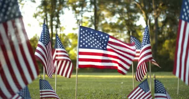 ゆっくりと波状のアメリカ国旗の太陽の光の列の外で 1つの米国の旗が風に吹いています アメリカの祝日 7月4日 記念日 退役軍人の日の愛国的概念 — ストック動画