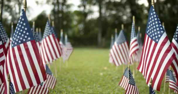 Ряды Медленно Размахивающих Американскими Флагами Развевающимися Ветру Патриотическая Концепция Праздников — стоковое видео