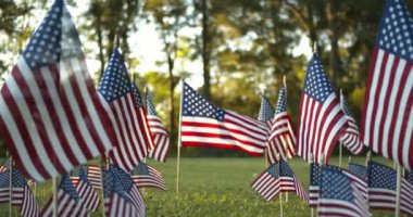 Güneş ışığı altında, yavaşça dalgalanan Amerikan bayrakları rüzgarda dalgalanan bir ABD bayrağına odaklanıyor. ABD bayramları için vatanseverlik kavramı, 4 Temmuz, Anma Günü veya Gaziler Günü.