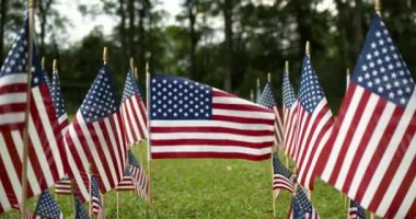 Sıralar halinde dalgalanan Amerikan bayrakları rüzgarda dalgalanan bir ABD bayrağına odaklanıyor. ABD bayramları için vatanseverlik kavramı, 4 Temmuz, Anma Günü veya Gaziler Günü.
