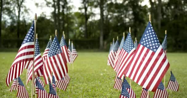 Проходя Сквозь Ряды Медленно Размахивающих Американскими Флагами Развевающимися Ветру Патриотическая — стоковое видео
