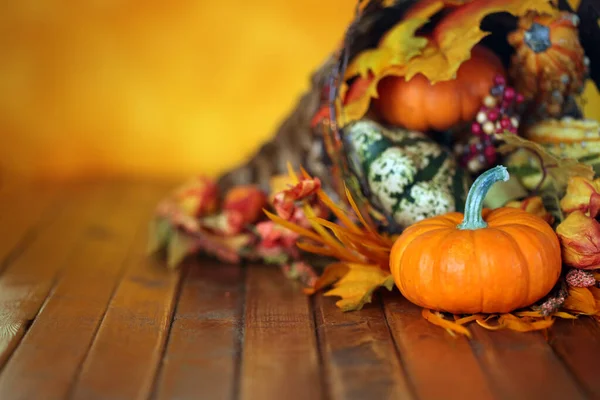 Pumpar Gourds Och Blad Höst Cornucopia Bakgrund — Stockfoto